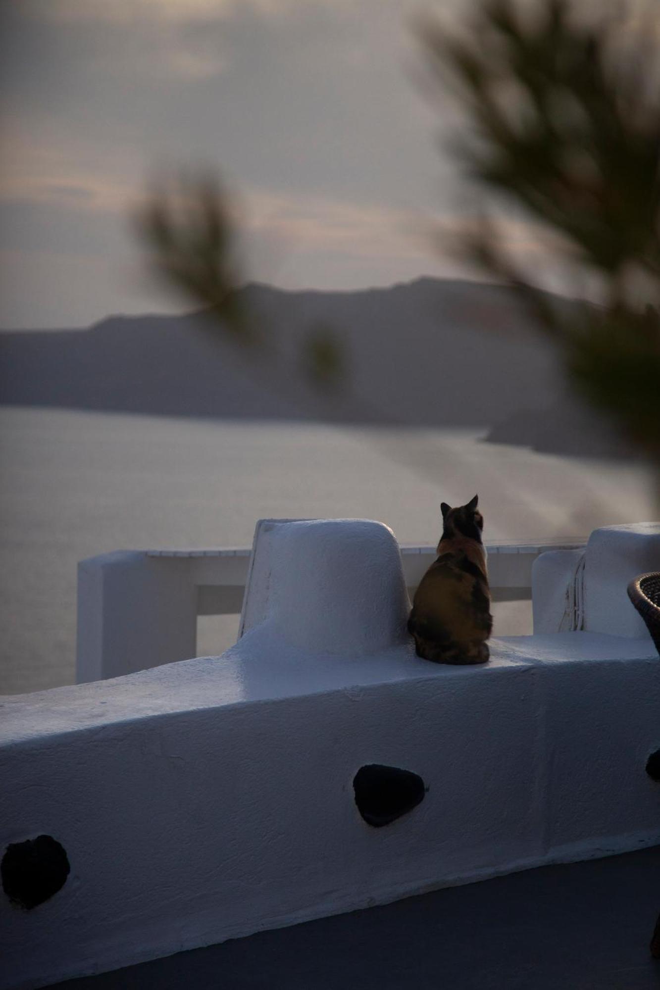 Alexander'S Suites Oia  Bagian luar foto